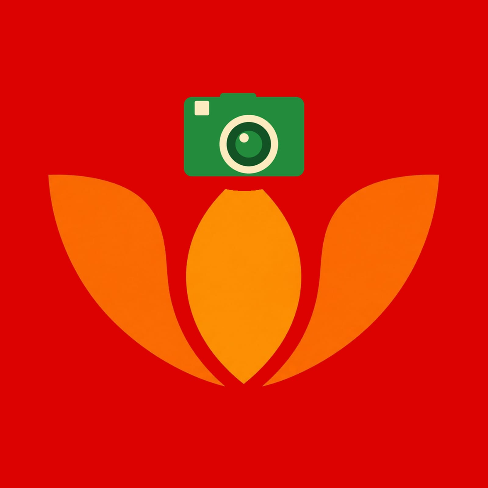Organization Logo